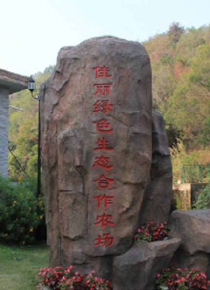 厦门餐饮配送-有机蔬菜基地