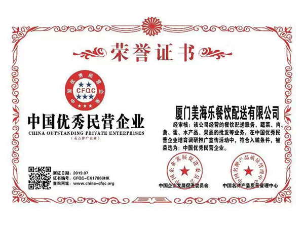 中国优秀民营企业